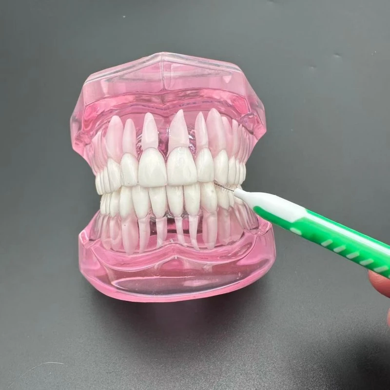 Push Pull Interdental Brush